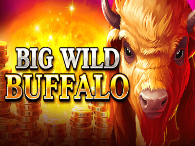 Betfair com app